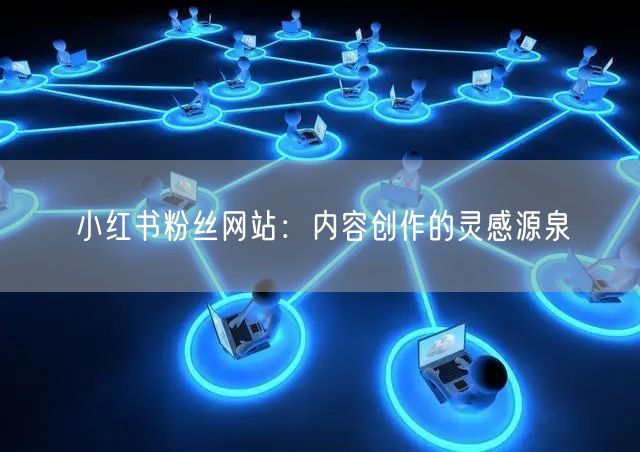 小红书粉丝网站：内容创作的灵感源泉