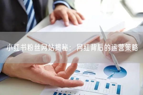 小红书粉丝网站揭秘：网红背后的运营策略