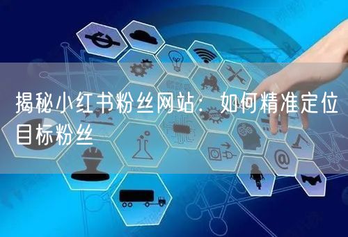 揭秘小红书粉丝网站：如何精准定位目标粉丝
