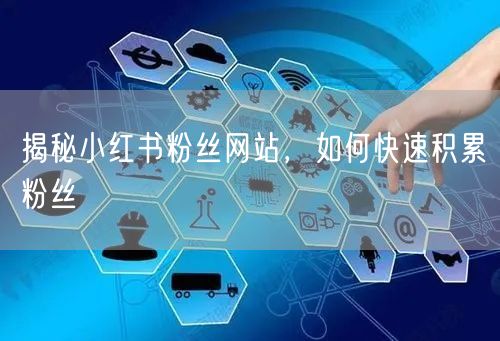 揭秘小红书粉丝网站，如何快速积累粉丝