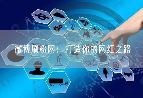 微博刷粉网：打造你的网红之路