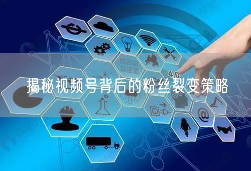 揭秘视频号背后的粉丝裂变策略