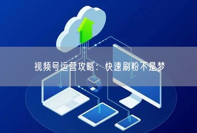 视频号运营攻略：快速刷粉不是梦