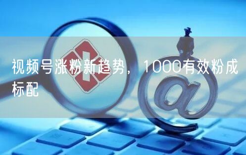 视频号涨粉新趋势，1000有效粉成标配