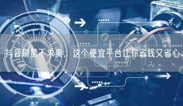 抖音刷赞不求贵，这个便宜平台让你省钱又省心