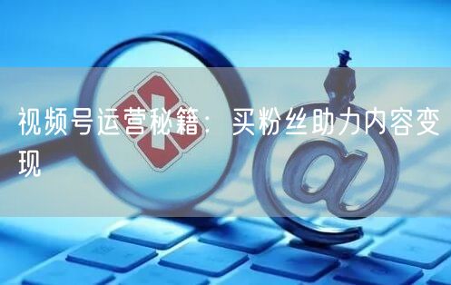 视频号运营秘籍：买粉丝助力内容变现