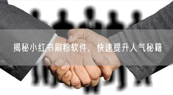 揭秘小红书刷粉软件，快速提升人气秘籍