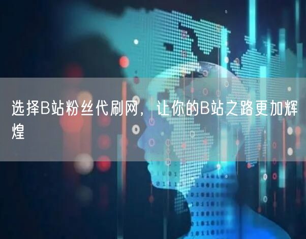 选择B站粉丝代刷网，让你的B站之路更加辉煌
