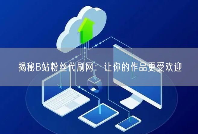 揭秘B站粉丝代刷网：让你的作品更受欢迎