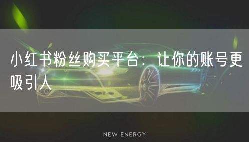 小红书粉丝购买平台：让你的账号更吸引人