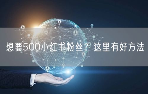 想要500小红书粉丝？这里有好方法